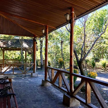 Umas Hostel Xinyi Ngoại thất bức ảnh